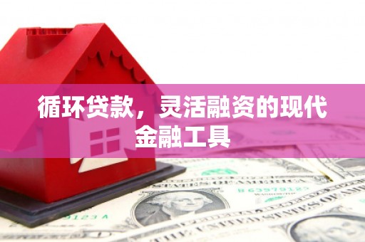 临湘循环贷款，灵活融资的现代金融工具