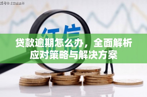 临湘贷款逾期怎么办，全面解析应对策略与解决方案