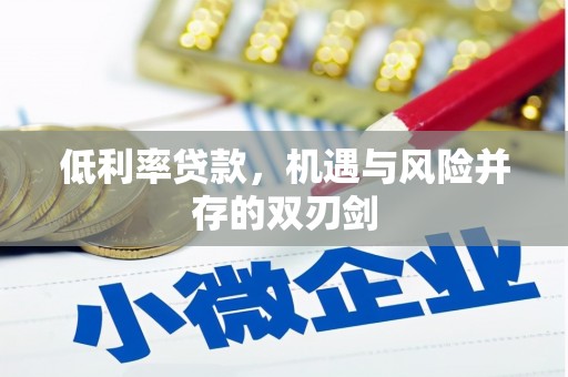 临湘低利率贷款，机遇与风险并存的双刃剑