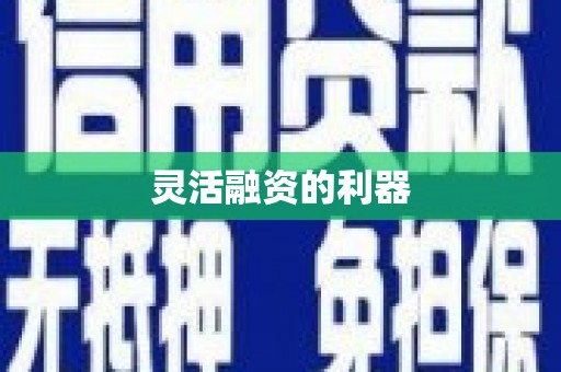 临湘灵活融资的利器