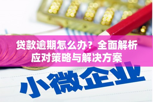 临湘贷款逾期怎么办？全面解析应对策略与解决方案