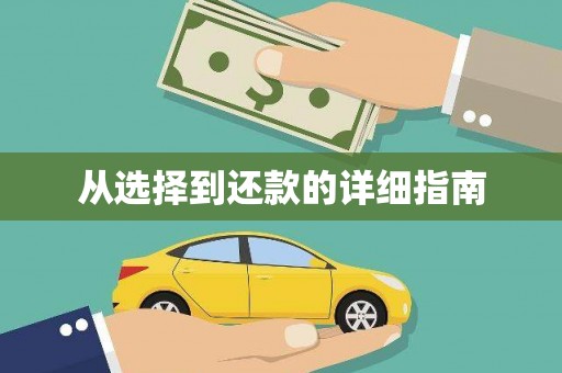 临湘从选择到还款的详细指南