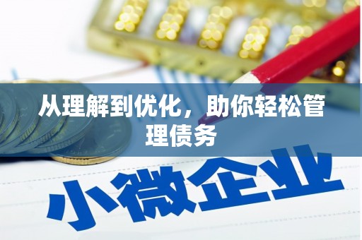 临湘从理解到优化，助你轻松管理债务