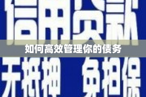 临湘如何高效管理你的债务