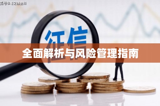 临湘全面解析与风险管理指南