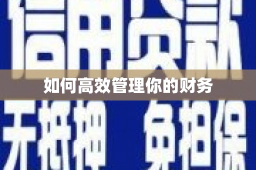 临湘如何高效管理你的财务