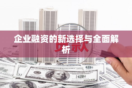 临湘企业融资的新选择与全面解析