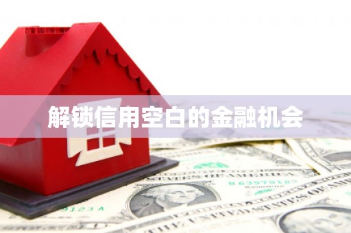 临湘解锁信用空白的金融机会