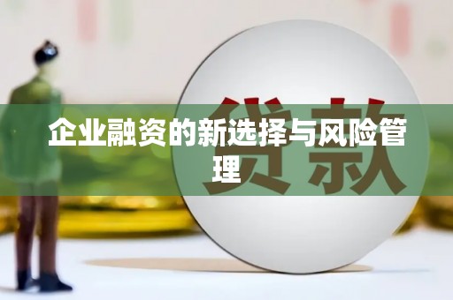 临湘企业融资的新选择与风险管理
