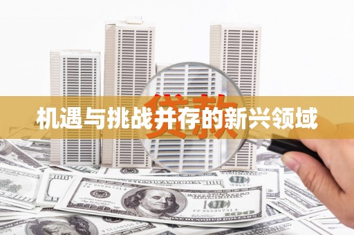 临湘机遇与挑战并存的新兴领域