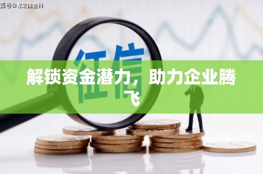临湘解锁资金潜力，助力企业腾飞