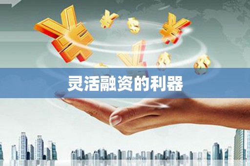 临湘灵活融资的利器