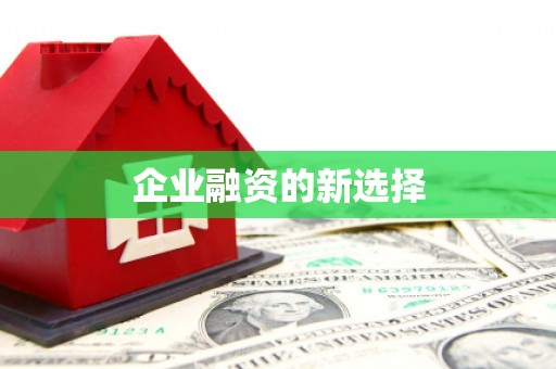 临湘企业融资的新选择