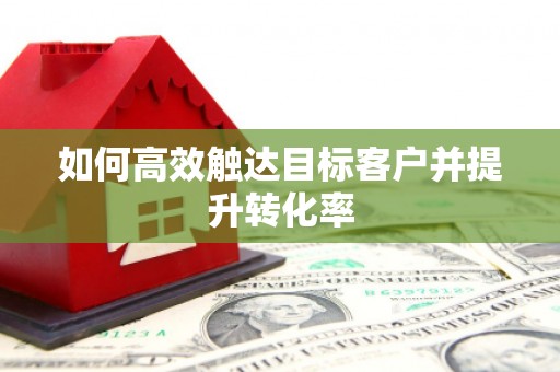 临湘如何高效触达目标客户并提升转化率