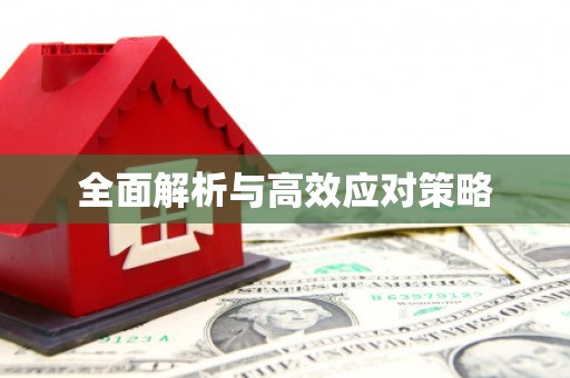 临湘全面解析与高效应对策略