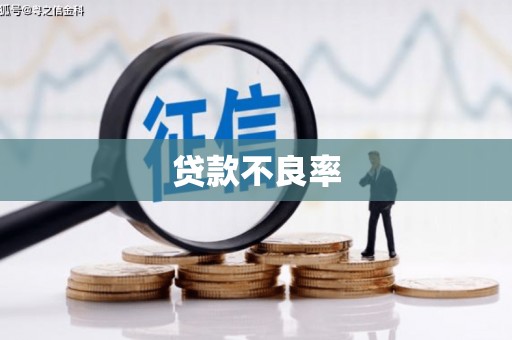 临湘贷款不良率