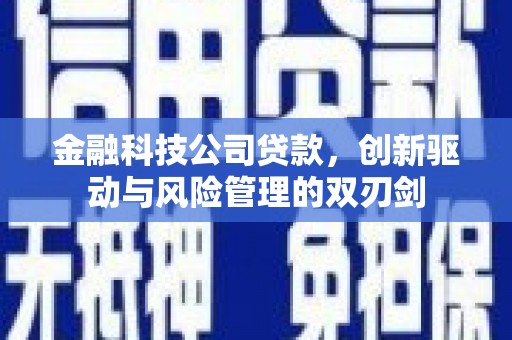 临湘金融科技公司贷款，创新驱动与风险管理的双刃剑